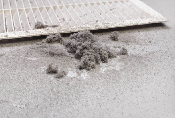 Best Affordable Duct Cleaning Services  in Hutchins, TX